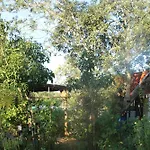Glamping Paradise Campsite