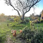 Glamping Paradise
