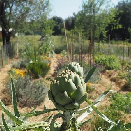 Tiny House Eco Кемпинг *