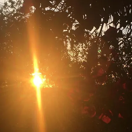 Tiny House Eco * Estevais