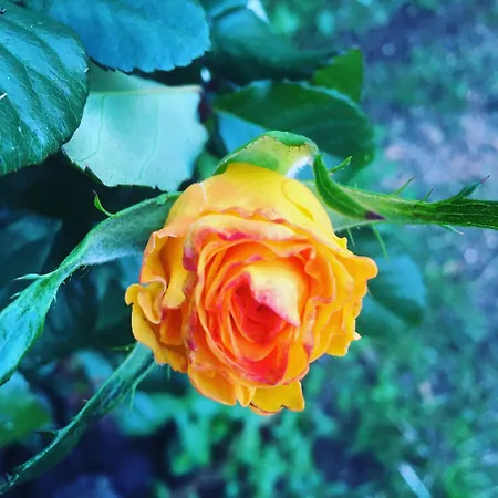 Tiny House Eco Кемпинг