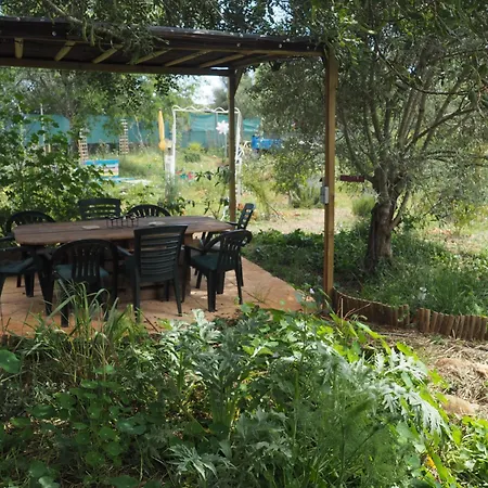 مكان تخييم Tiny House Glamping Estevais