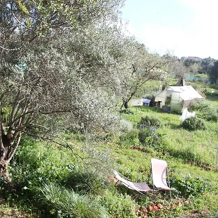 مكان تخييم Tiny House Glamping