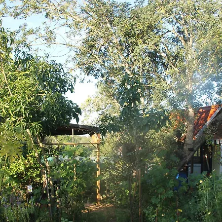 Tiny House Glamping مكان تخييم