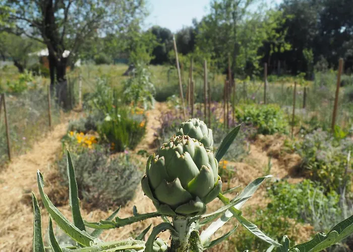 Tiny House Glamping مكان تخييم *