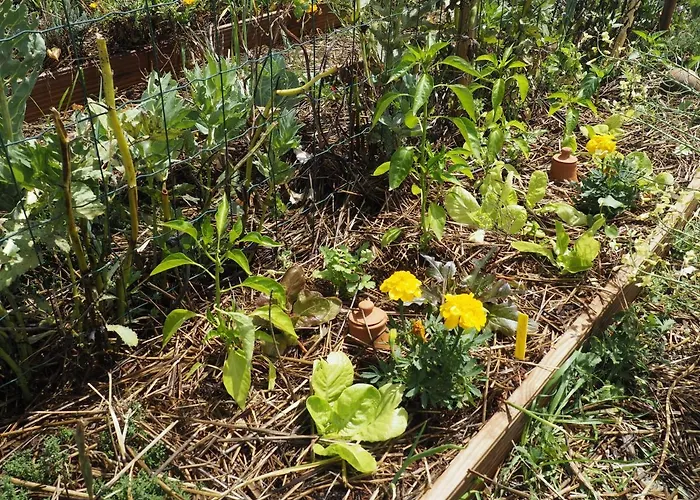 Tiny House Glamping *