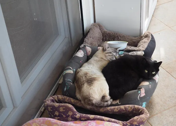 Tiny House Glamping * Estevais