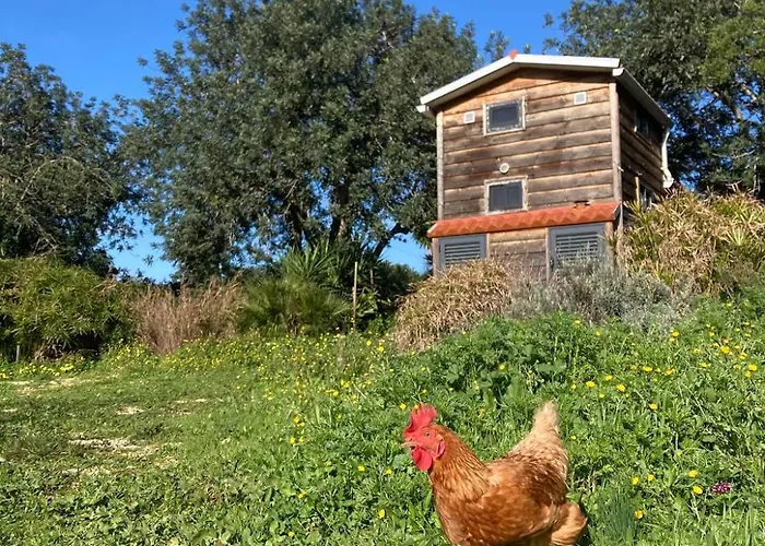 Tiny House Glamping Estevais