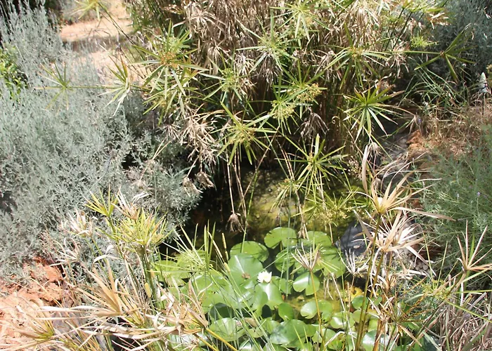 Tiny House Glamping مكان تخييم *