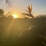 Glamping Paradise