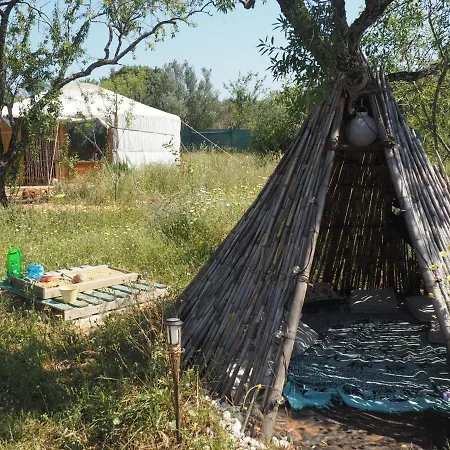 Eco Stay In Nature