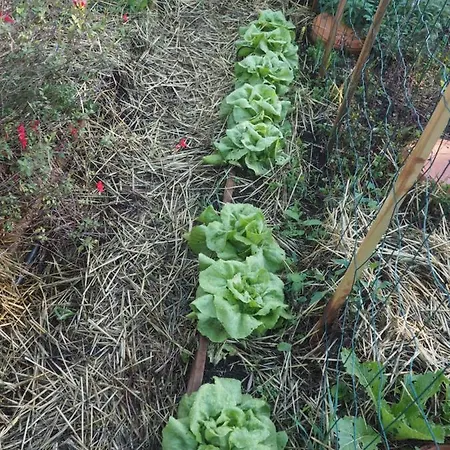 Tiny House Eco Κάμπινγκ Estevais