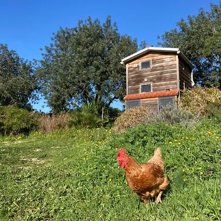 Ecologic Glamping Estevais
