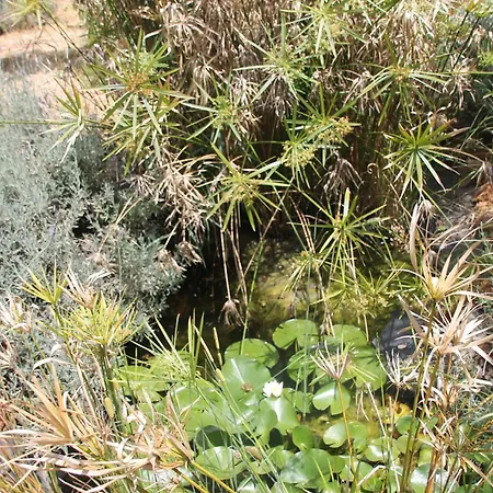 Tiny House Eco Κάμπινγκ *