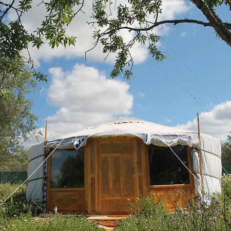 Tiny House Eco Camping