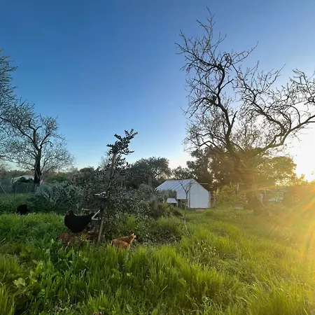 Ecologic Glamping Estevais
