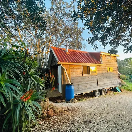 Ecologic Glamping Estevais