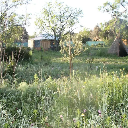 Ecologic Glamping