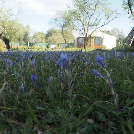Ecologic Glamping