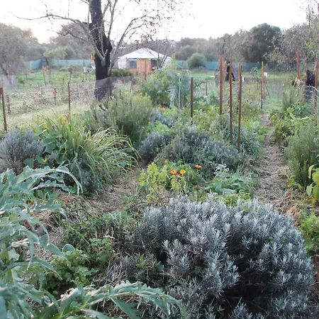 Ecologic Glamping Camping Estevais
