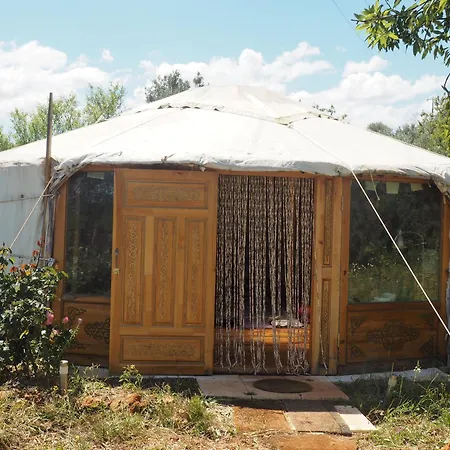 Camping Ecologic Glamping *