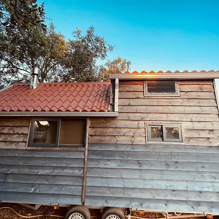Ecologic Glamping Camping Estevais