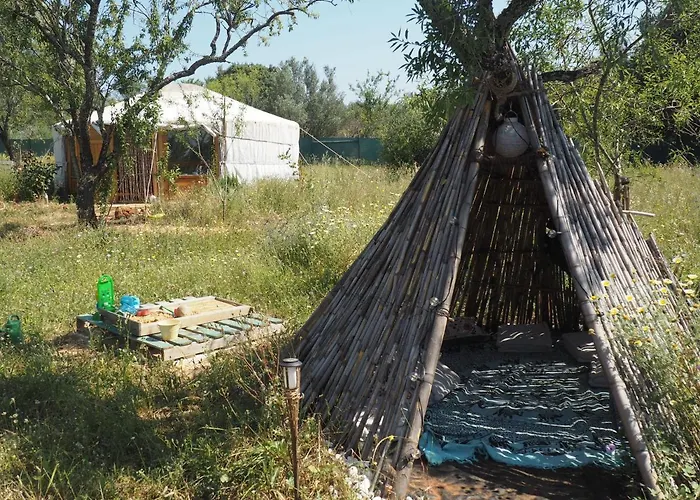 Tiny House In Bubble Of Nature