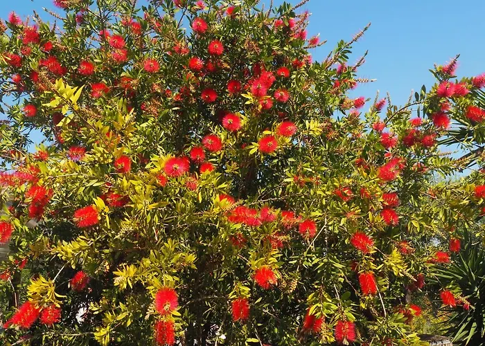 Kemping Tiny House In Bubble Of Nature *