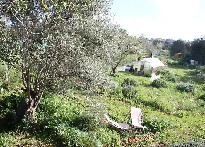 Kemping Tiny House In Bubble Of Nature