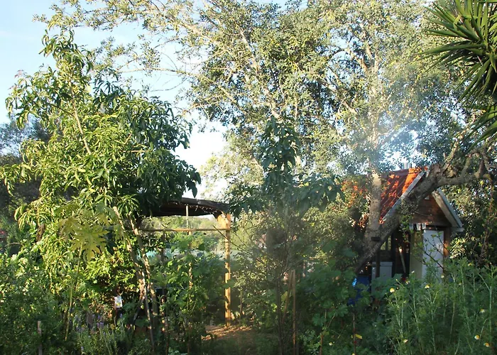 Tiny House In Bubble Of Nature Kemping